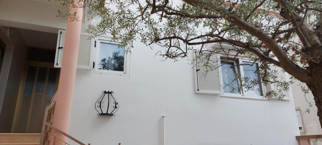 자다르 Olive Tree 아파트 외부 사진